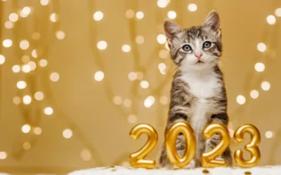 6 New Year’s Resolutions for Your Pet