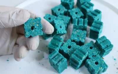 On Baited Breath: Rodenticide Poisoning in Pets FAQs