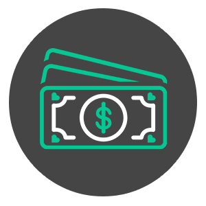 rabbit in the outdoors