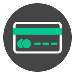 rabbit in the outdoors