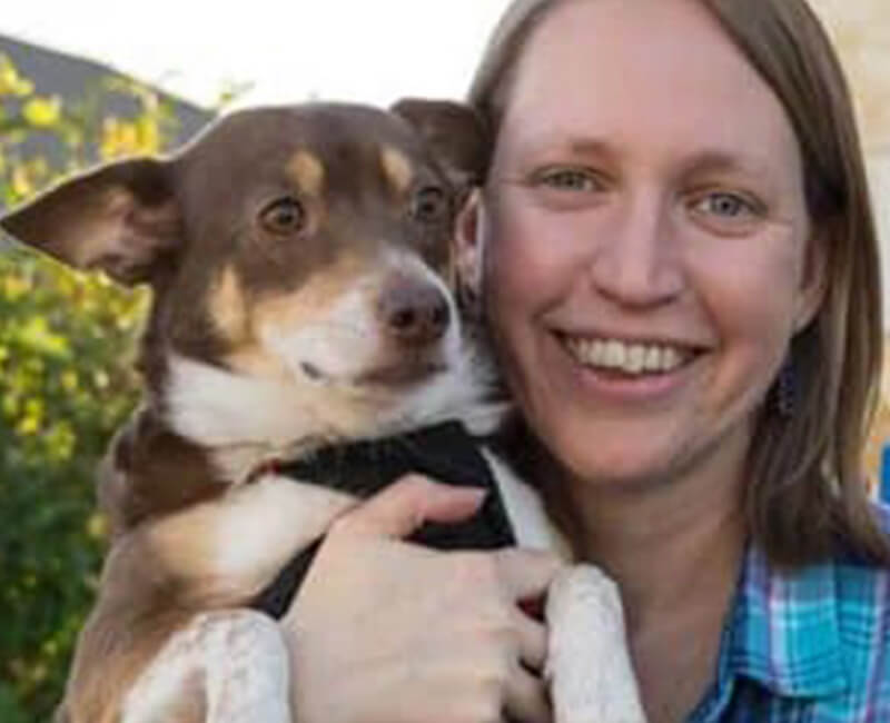 Vet doing a wellness exam on a little dog.